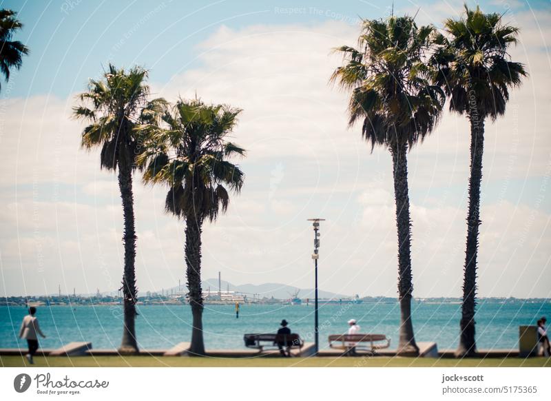 Shore promenade for a sea view and a rest break Sea promenade Panorama (View) coast Meadow Horizon Relaxation Beautiful weather Far-off places Pacific Ocean