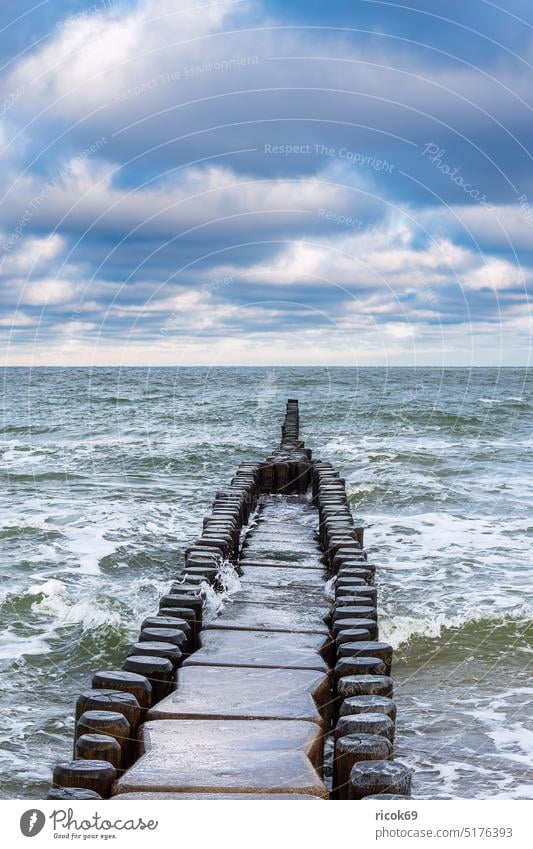 Buhne on the coast of the Baltic Sea in Ahrenshoop on Fischland-Darß fischland-darß Baltic coast Ocean Beach Break water Waves Landscape Nature Water Sky Clouds