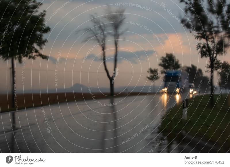 rain wet country road at dusk. oncoming cars, poor visibility. esteem Road traffic Oncoming traffic rain-soaked road Street Rain sight Twilight heavy rain