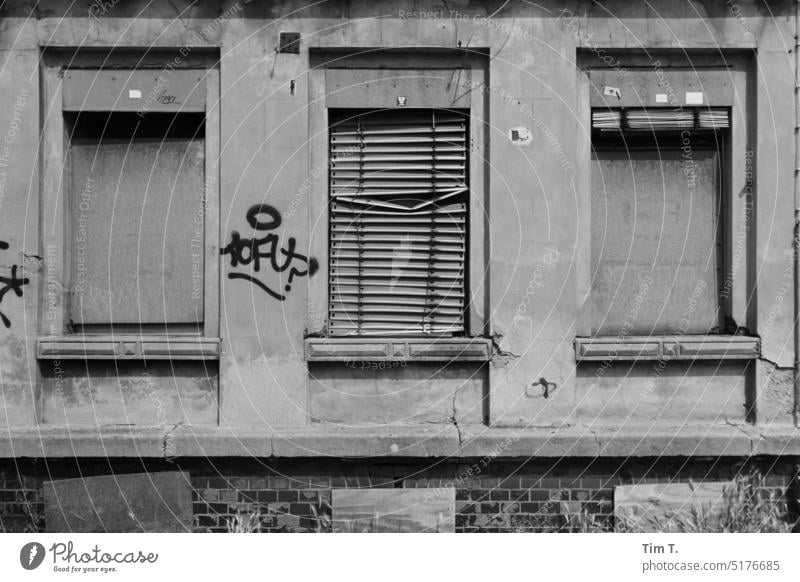 Fenster in Leipzig s/w fenster Altbau unsaniert alt Gebäude Fassade Haus Black & white photo Architecture Architektur urban haus architektur gebäude fassade