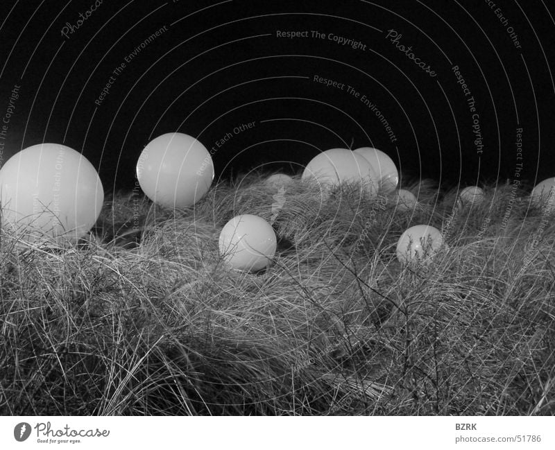 globes in the grass black & white spheres balls Ball Sphere