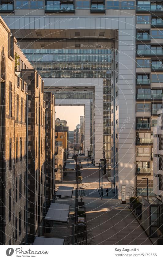 Rheinauhafen Cologne Rheinau docks Old town south outlook Vista Building style Picturesque High-rise Kranhäuser Modern and old Evening sun Eye-catcher