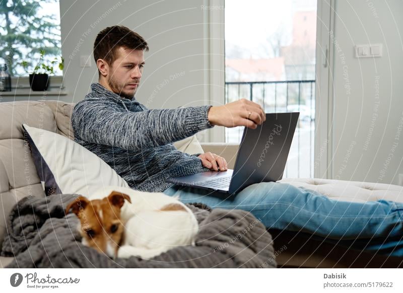 Man using laptop at living room work home man remote lifestyle online freelancer work from home dog pet busy business workplace interior portrait internet