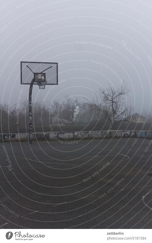 Basketball in the fog hazy Haze Autumn Morning Fog foggy Weather Winter Direct autumn baluschek park Berlin Schöneberg steglitz game Ball game Playing field