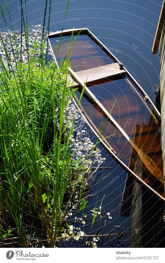 Green floodplain in summer sunshine with old sunken wooden boat with oar and green grasses on the waterfront in Acarlar floodplain forest near Karasu in Sakarya province, Turkey