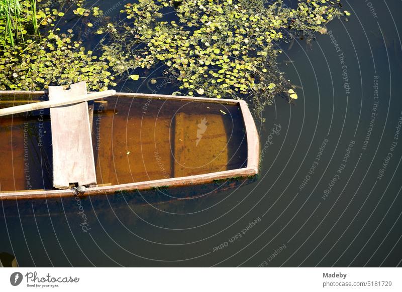 Historic floodplain in summer sunshine with old leaky brown wooden boat and green grasses and plants on the waterfront in Acarlar floodplain forest near Karasu in Sakarya province, Turkey