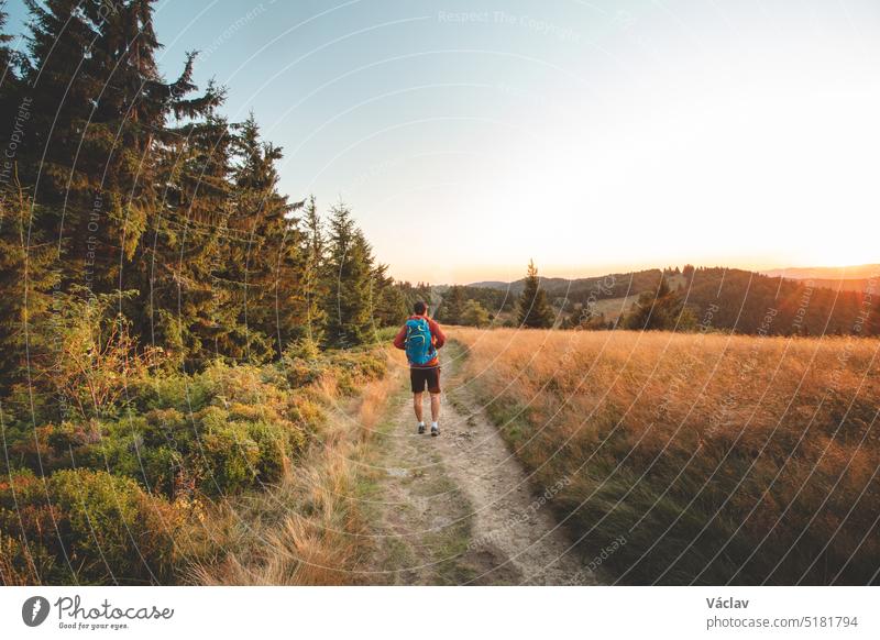 Traveller with a blue backpack on his back walks towards his unforgettable experiences in Beskydy mountains, Czech republic. Morning sun illuminating a clearing