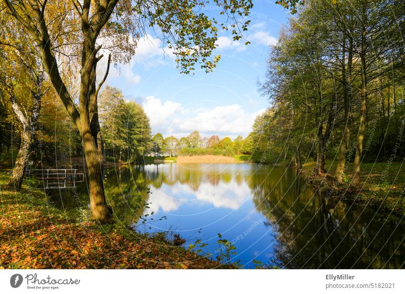 Natural swimming lake Ostheim near Malsfeld. Idyllic nature in autumn. Landscape at the lake. Lake Nature idyllically Autumn Lakeside Water Calm Environment