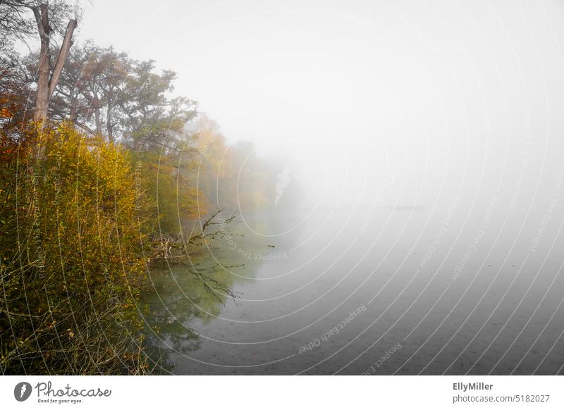 Fog in the morning. Autumn landscape by the lake. Morning Dawn Morning fog Landscape Calm Shroud of fog Misty atmosphere morning mood Moody Deserted Idyll