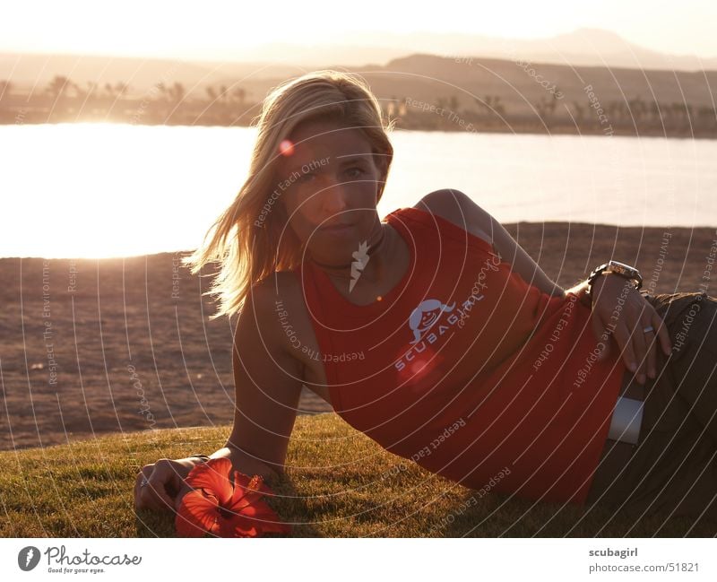 Summer, sun, beach and sea Woman Blonde Beach Ocean Mussel Sunset Dive Diving equipment Flower Hibiscus Palm tree Grass Meadow Egypt Vacation & Travel