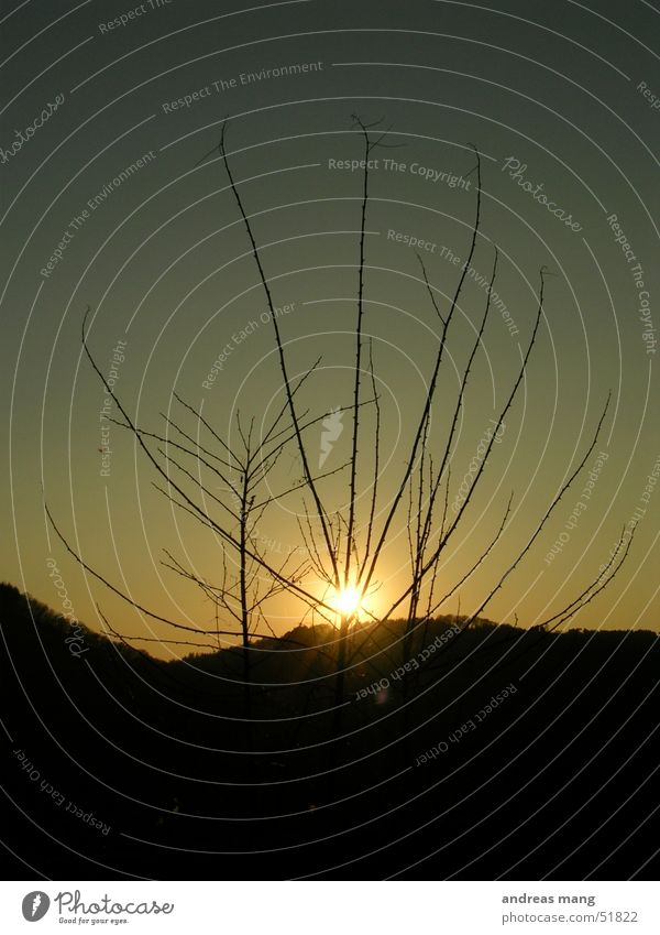 Sunset Bushes Beautiful Mountain Landscape mountains bush