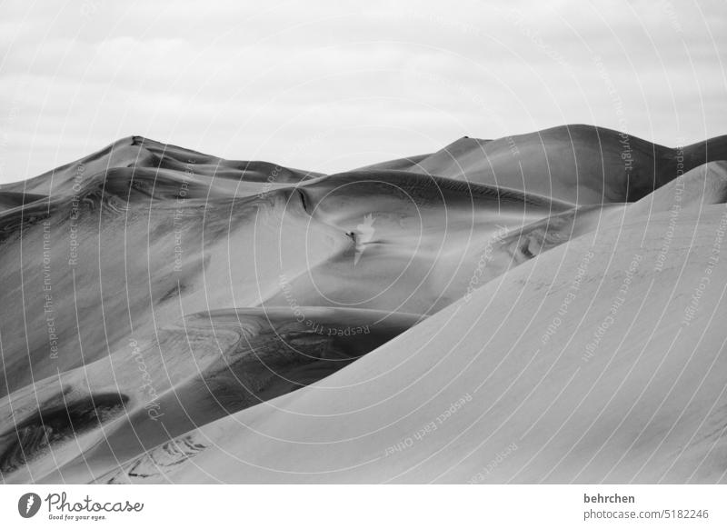 sand aridity Drought sandwich harbour Namibia Africa Desert Sand wide Far-off places Wanderlust Longing Nature Vacation & Travel Landscape travel Colour photo