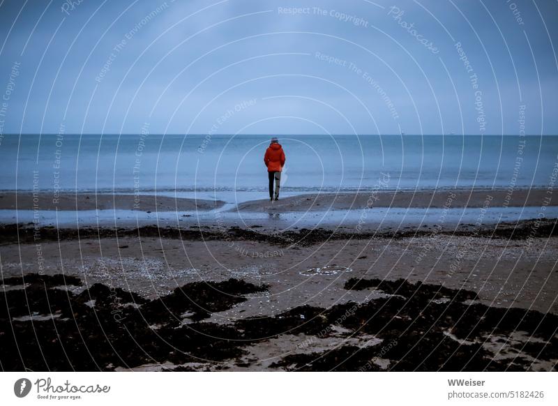 It is getting dark. A girl stands alone on the beach in the blue hour and looks out to sea. Beach Ocean coast Baltic Sea Water Lake Algae Landscape on one's own