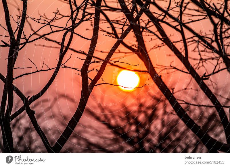 in the morning Adventure Vacation & Travel Dream Sky Sun Fantastic Longing Gorgeous Wanderlust pretty Romance Exterior shot Colour photo Sunlight Namibia