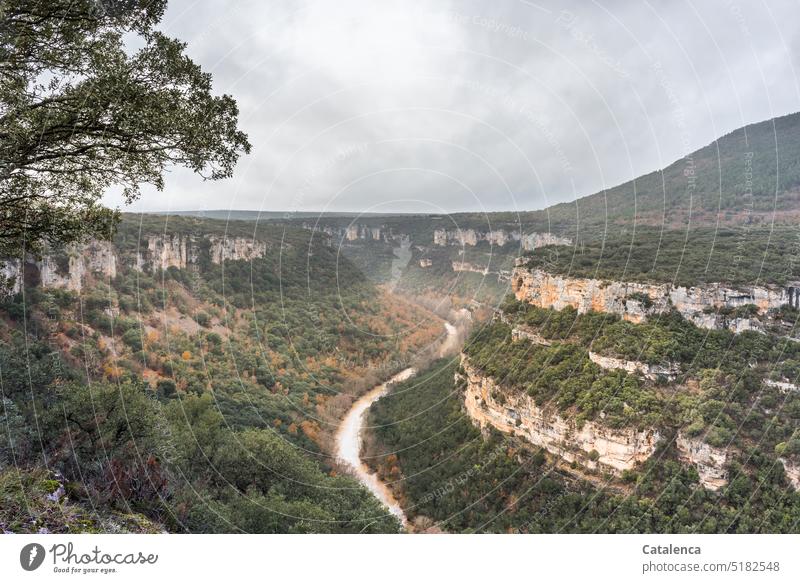 The Ebro Gorge Nature Environment Landscape Canyon Sky Rock trees Water River ebro persons Human being Head look Cap Hiking Day daylight Gray Green Brown