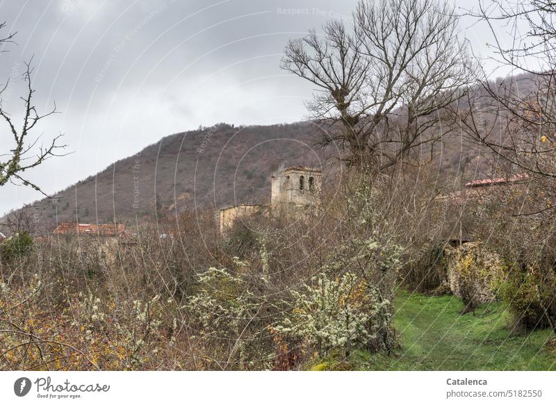 A village hidden behind trees on the mountain Hiking Environment Gray Green Grass Sky daylight Day Clouds Village Landscape Nature Peaceful Calm