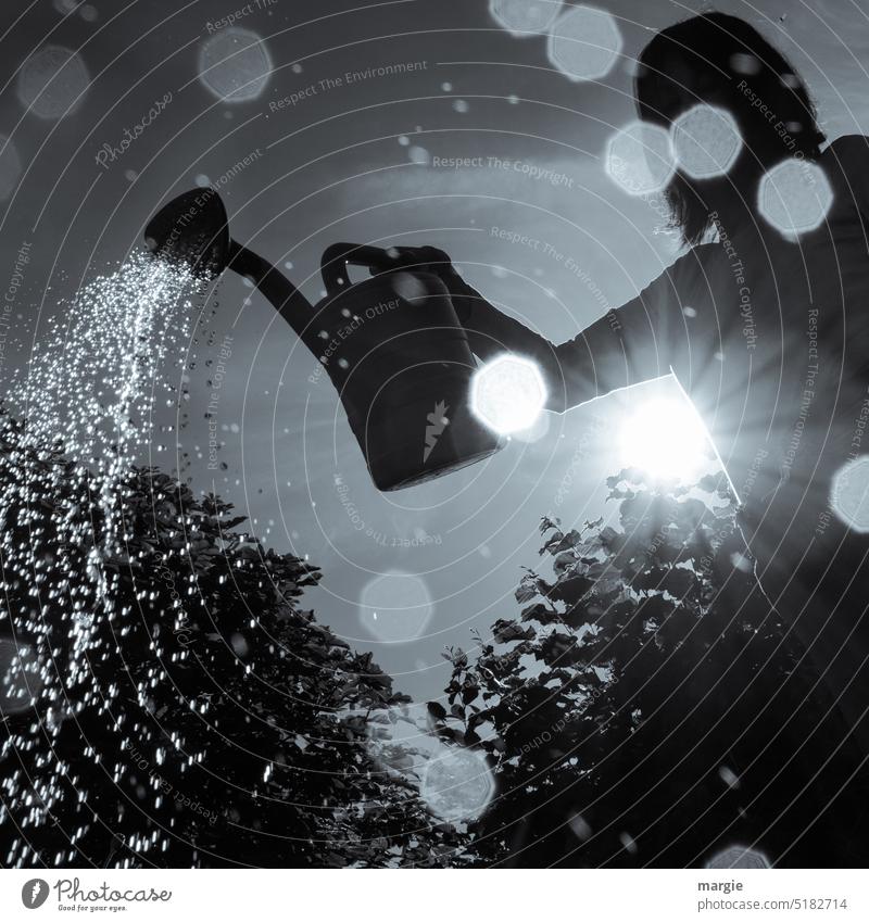 A woman watering her garden Watering can Cast Garden Gardening Plant Exterior shot Growth Bushes and shrubs flowers Light (Natural Phenomenon) Sunlight