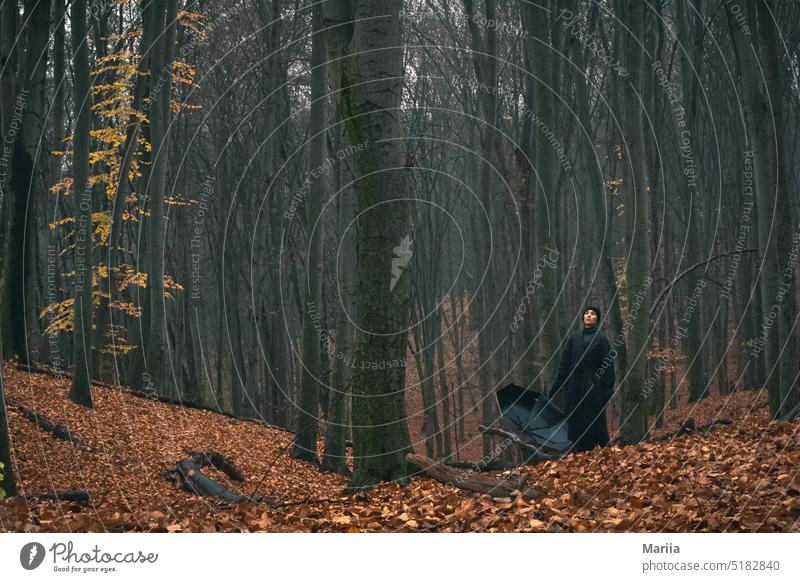 Lost place Young woman Girl Black European Umbrella Autumn Forest Park nature leaves Landscape Autumnal weather Orange Automn wood Tree Environment Leaf leafs