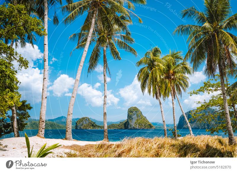 Vacation holiday season. Palawan most famous touristic spots. Palm trees and lonely island hopping tour boat on Ipil beach of tropical Pinagbuyutan, Philippines