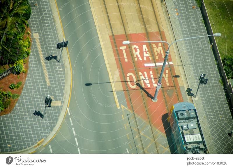 TRAM ONLY in Surfers Paradise Tram Traffic infrastructure Rail transport Means of transport Public transit Mobility Rail vehicle Bird's-eye view Sidewalk