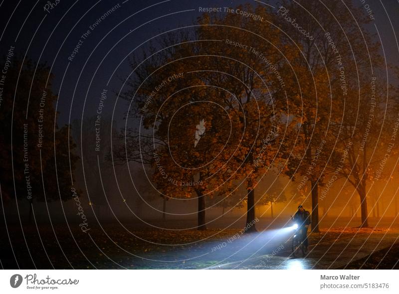 Bicyclist with light at night through the illuminated city park Bicycle Cycling Exterior shot Park Lighting Lamplight Orange Town Evening Colour photo Tree