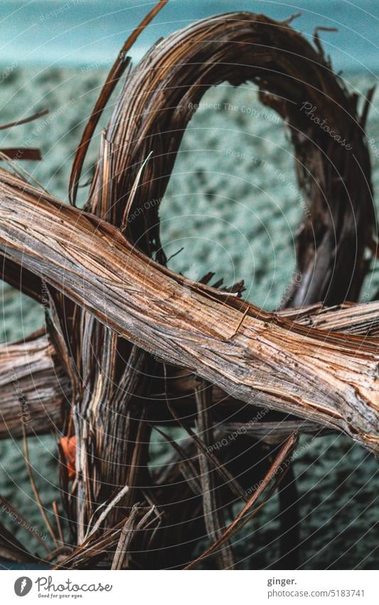 Organic art - Intertwined branches on the beach (detail) Wood Dry Brittle gobbled Arch Old Exterior shot Colour photo Deserted Subdued colour Transience