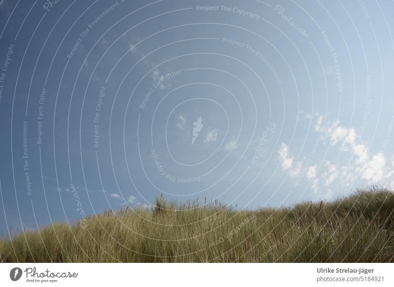 Dune edge with wide blue sky and delicate veils of clouds duene Marram grass Blue sky Sky soft clouds coast Landscape Nature Clouds dunes Green North Sea coast