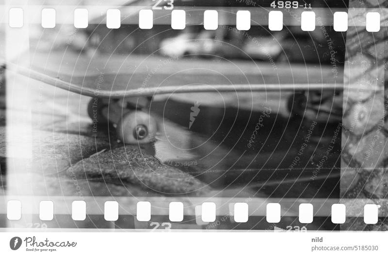 Skateboard detail Cobblestones urban Puddle Paving stone Reflection Exterior shot Street Black & white photo 35mm film Medium format Perforation