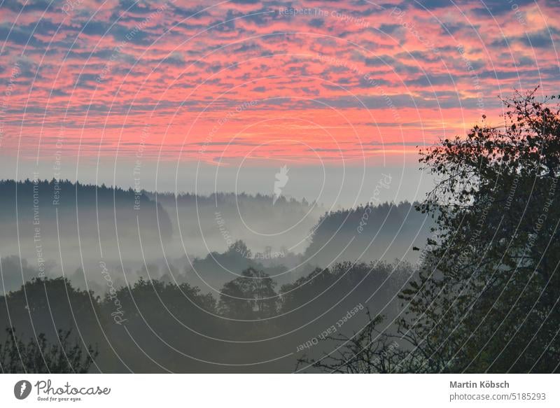 Sunrise over a misty forest. Dawn in fairy forest with dramatic glowing sky Nature burning sky fog enchanted forest autumn forest trees ecology light sunbeam