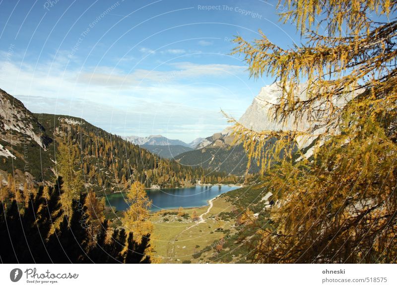 Seebensee Nature Landscape Horizon Autumn Tree Alps Mountain Zugspitze Lake Mountain lake Life Purity Uniqueness Idyll Environment Far-off places Colour photo