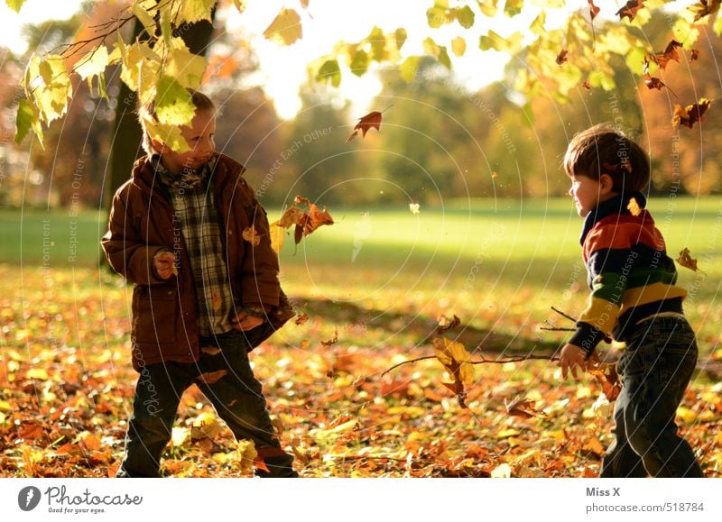 To your brother Leisure and hobbies Playing Children's game Human being Toddler Brothers and sisters Friendship Infancy 2 1 - 3 years 3 - 8 years Nature Autumn