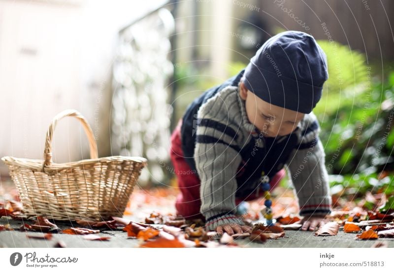 autumn Joy Healthy Senses Leisure and hobbies Playing Children's game Trip Promenade Garden Baby Boy (child) Infancy Life 1 Human being 0 - 12 months Nature