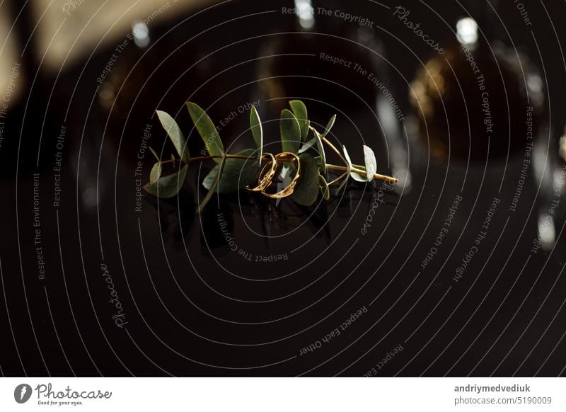 gold wedding rings on a dark background with eucalyptus twig, close-up. selective focus love symbol two jewelry beautiful white bridal couple bride celebration