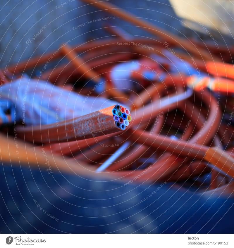 Colorful cable end in the middle of other cables Cable Terminal connector Fiber optics Red Blue Technology technique Electronics sunny shallow depth of field