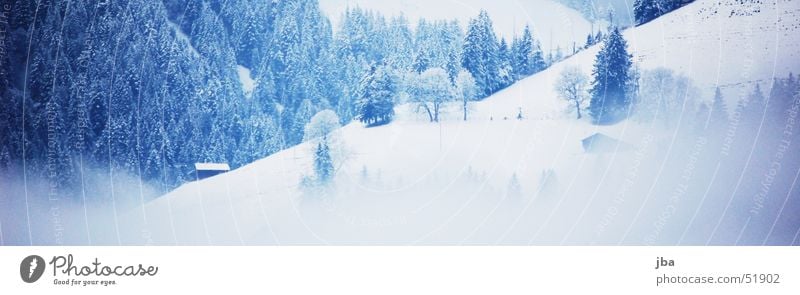 in winter Winter Fog Fir tree Alpine hut Slope Snow White Saanenland Rellerli Abländschen snowy Blue