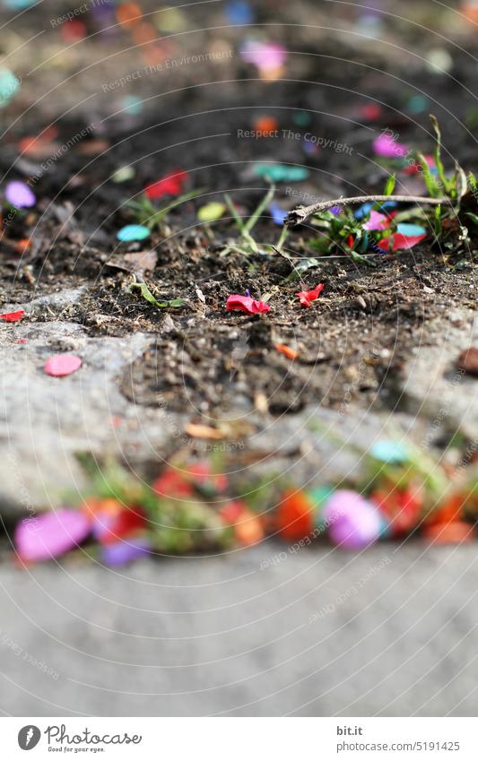 motley I colorful confetties on the floor Contrast Confetti Remains traditionally Tradition Depth of field blurred background Leisure and hobbies