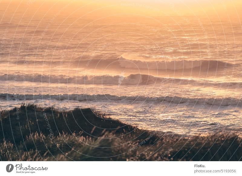 Surf off Denmark in evening light North Sea North Sea coast wave Ocean ocean Beach White crest Waves Nature Water Vacation & Travel Exterior shot Horizon Sand