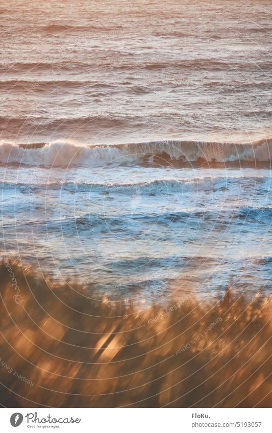 View of the surf from the dunes North Sea Surf North Sea coast wave Ocean ocean Beach White crest Waves Nature Water Vacation & Travel Exterior shot Horizon