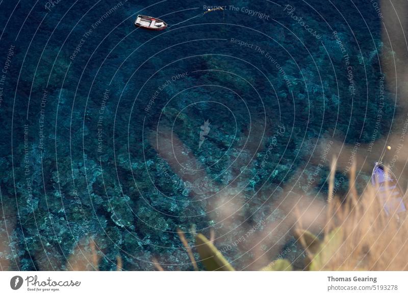 Clear blue sea Ocean Sea clear water madeira madeira island madeira portugal crystal clear blue water nature Island island life island living island paradise