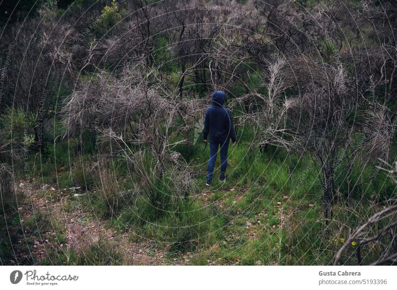 Woman in sweatshirt and hoodie walks through the forest. conceptual Forest Landscape Relaxation Mountain Tree Human being Vacation & Travel Adventure Tourism