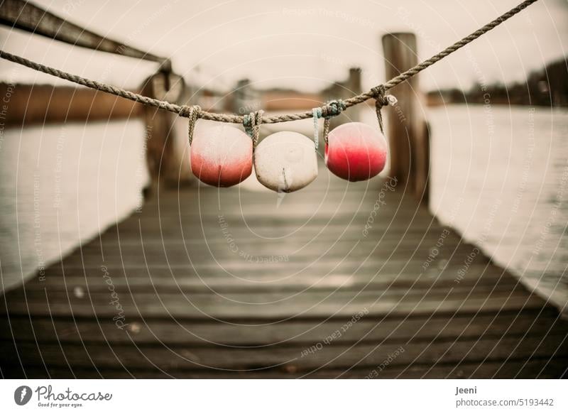 Barrier at the jetty Subdued colour Idyll wooden walkway Footbridge Harbour Lake Water coast River bank Jetty Buoy Fishing village cordon Rope Chain Sphere