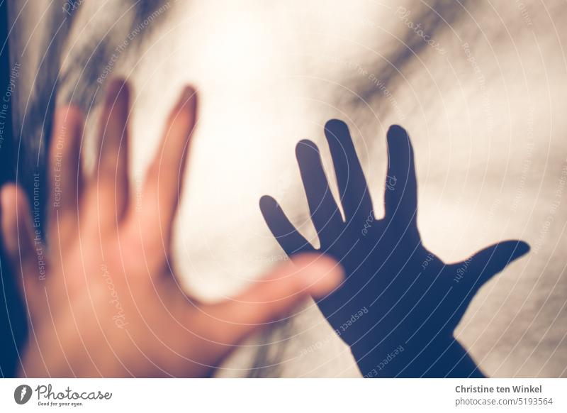 A hand reaches for her shadow on the wall Shadow play Hand Grasp shadow cast Light and shadow Wall (building) Contrast Sunlight Structures and shapes Silhouette