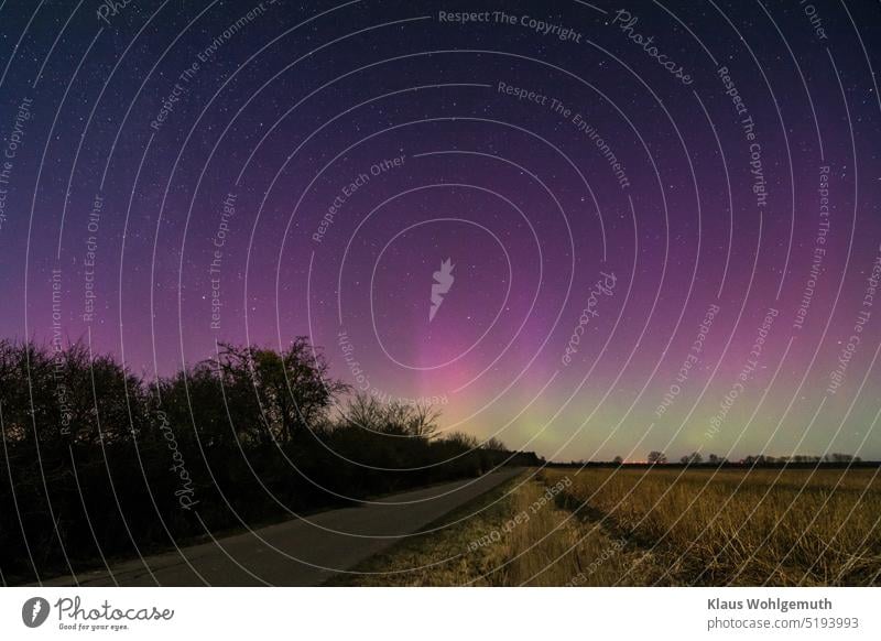 Aurora borealis, northern lights on the horizon above a field in Mecklenburg- Vorpommern. A road leads the view into the distance. Aurora Borealis