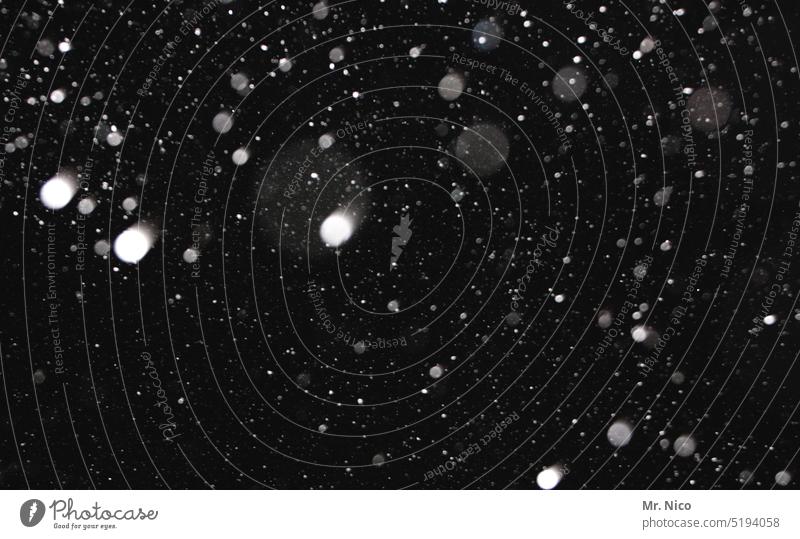 Merry white Christmas ! Snowfall Winter Night Dark snow flurries Wintertime Christmas & Advent Snowflake snowflakes Black winter flake vertebrae Snowstorm