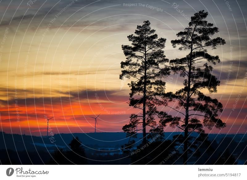 Sunset on the Swabian Alb Dusk sunset Sky Twilight Evening Nature Exterior shot Landscape Clouds Sunlight Deserted Light windmills Silhouette trees pines