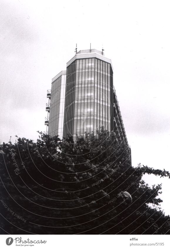 university Architecture Academic studies Black & white photo