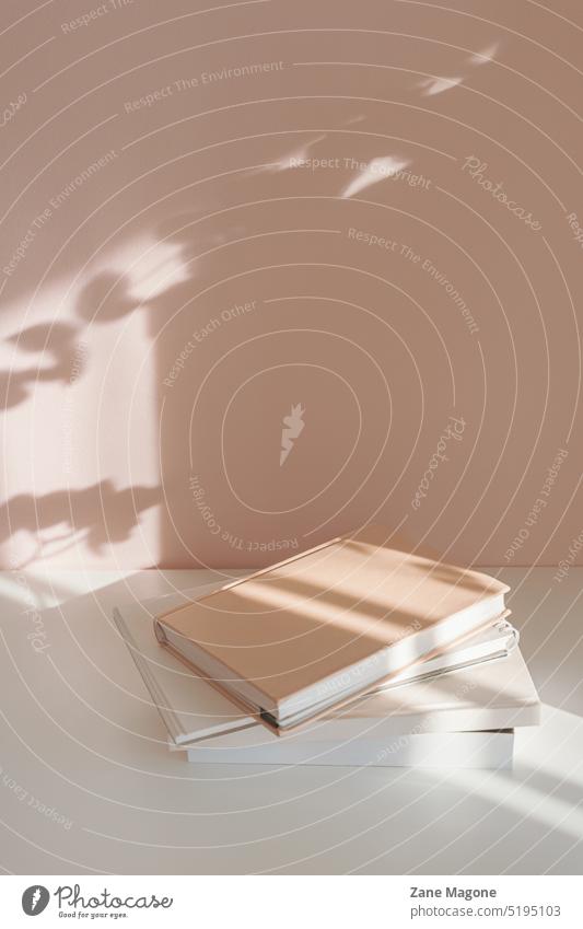 Stack of books and notebooks, minimalist pastel background, studying reading pastels beige copy space college summer reading spring soft modern school Education