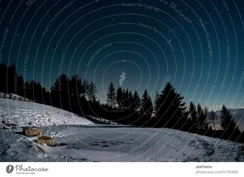 Frozen lake under the stars Stars starry night Night Night sky Starry sky nature Lake frozen lake Silhouette Trees on the horizon Snow Snowscape Snow layer