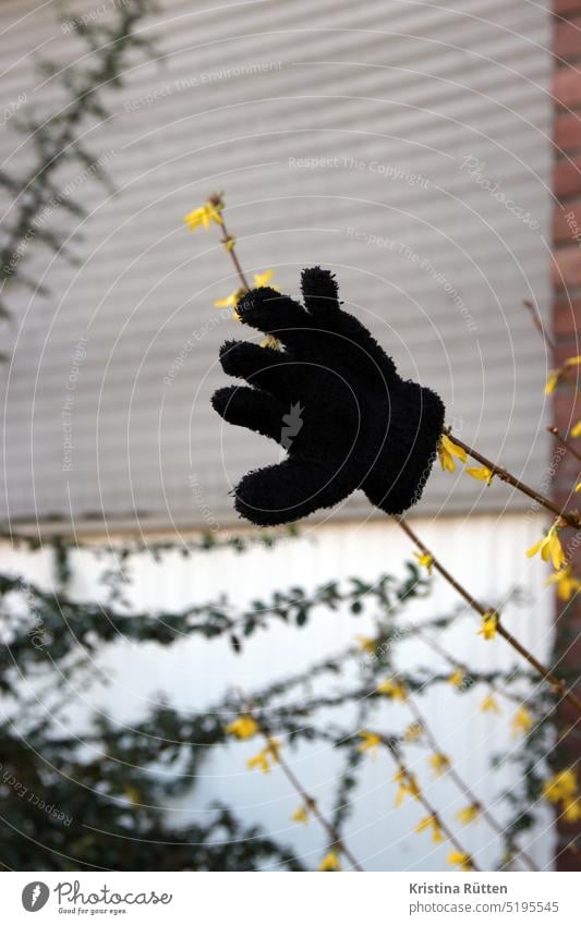 goodbye winter - single glove on the forsythia bush Doomed found Wave one Individual Front garden shrub Bushes forsake sb./sth. Spring spring symbolic