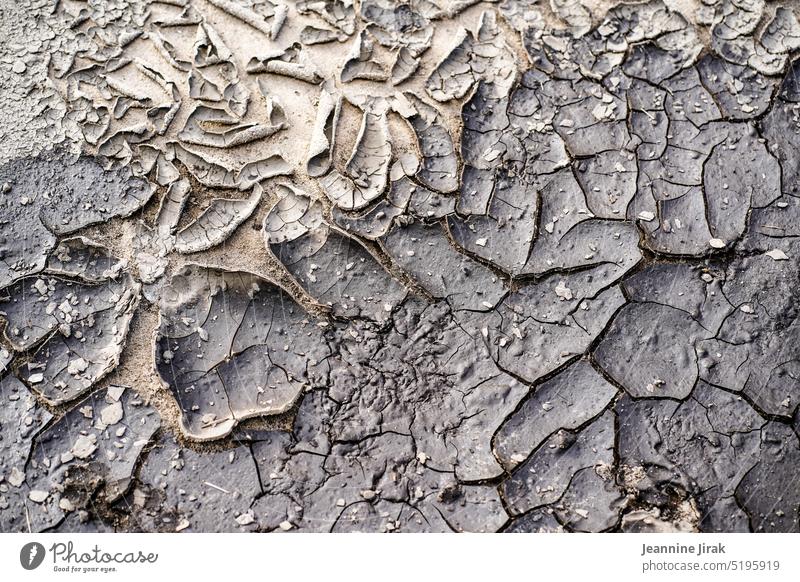 Drained - On the brink Structures and shapes Surface age aridity Detail parched Drought Climate change Woodground Deserted Crack & Rip & Tear Environment Ground